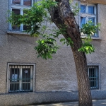 Къща в Хасково, Каменни - 118 кв.м за 822 €/кв.м - Снимка #1