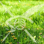 Парцел в Бургас, Долно Езерово - 10717 кв.м за 112 €/кв.м - Снимка #1