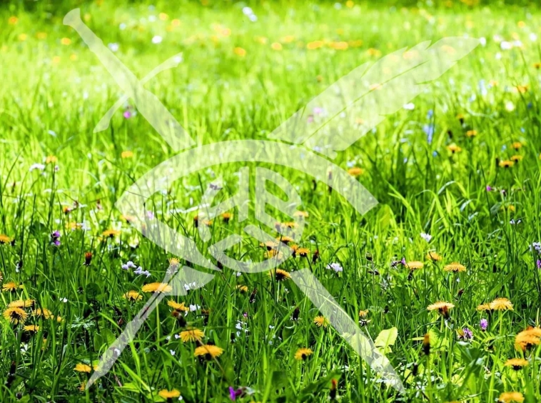 Парцел в Бургас, Долно Езерово - 10717 кв.м за 112 €/кв.м - Снимка #1