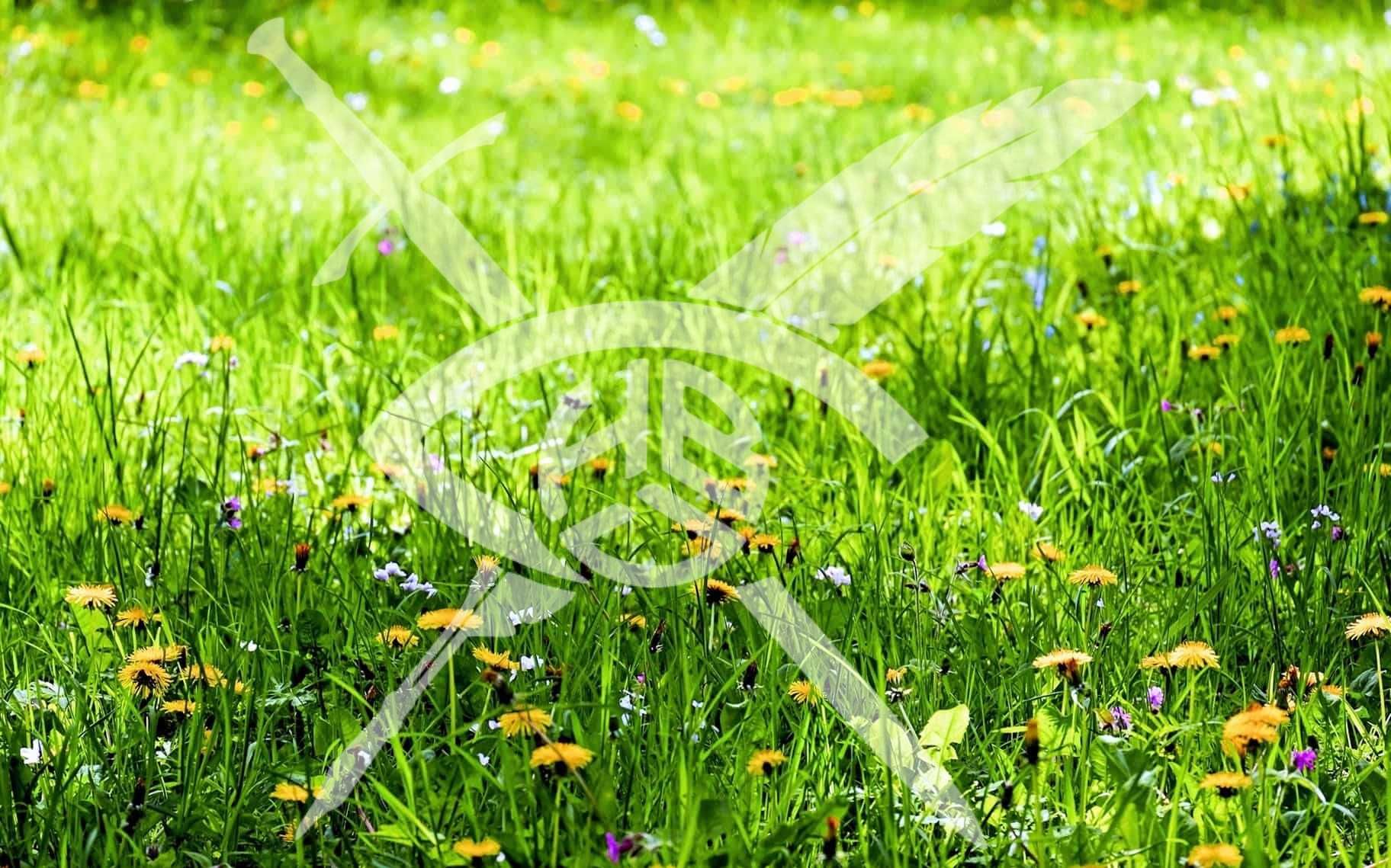 Парцел в Бургас, Долно Езерово - 10717 кв.м за 112 €/кв.м - Снимка #1