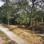 Парцел в Бургас, Меден рудник - зона А - 1110 кв.м за 28 €/кв.м - Снимка #1