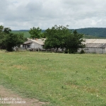 Промишлена сграда в с. Войвода, Област Шумен - 6800 кв.м за 23 €/кв.м - Снимка #1