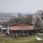 Земеделски имот в Мездра -  кв.м за 18488 €/дка - Снимка #1