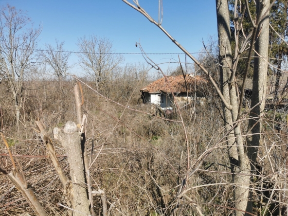 Къща в с. Писанец, Област Русе - 30 кв.м за 425 €/кв.м - Снимка #1