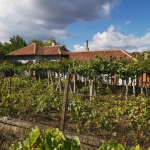 Къща в с. Пелишат, Област Плевен - 70 кв.м за 722 €/кв.м - Снимка #1