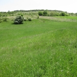 Парцел в с. Пожарево, Област София-област - 1241 кв.м за 25 €/кв.м - Снимка #1