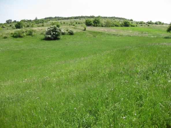 Парцел в с. Пожарево, Област София-област - 1241 кв.м за 25 €/кв.м - Снимка #1