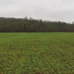 Земеделски имот в с. Ясна поляна, Област Бургас -  кв.м за 37 €/дка - Снимка #1