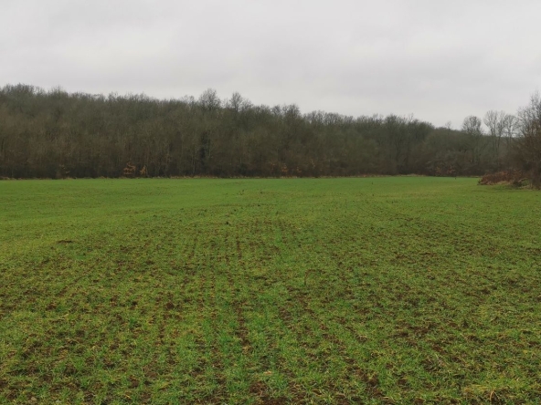 Земеделски имот в с. Ясна поляна, Област Бургас -  кв.м за 43 €/дка - Снимка #1