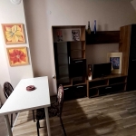 Дава се под наем Едностаен апартамент в Велинград - 45 кв.м за 204 € - Снимка #1