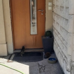 Дава се под наем Къща в с. Червена вода, Област Русе - 60 кв.м за 300 € - Снимка #1