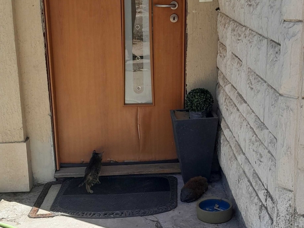 Дава се под наем Къща в с. Червена вода, Област Русе - 60 кв.м за 300 € - Снимка #1