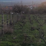 Парцел в Карлово - 1000 кв.м за 5 €/кв.м - Снимка #1