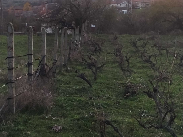 Парцел в Карлово - 1000 кв.м за 5 €/кв.м - Снимка #1