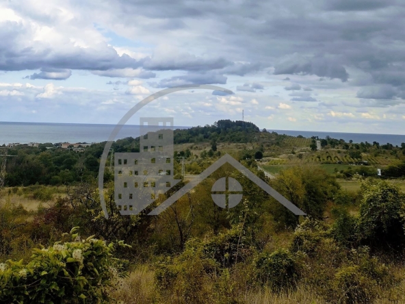 Парцел в Обзор - 9748 кв.м за 5 €/кв.м - Снимка #1