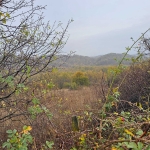 Парцел в с. Равново, Област Велико Търново - 1070 кв.м за 6 €/кв.м - Снимка #1