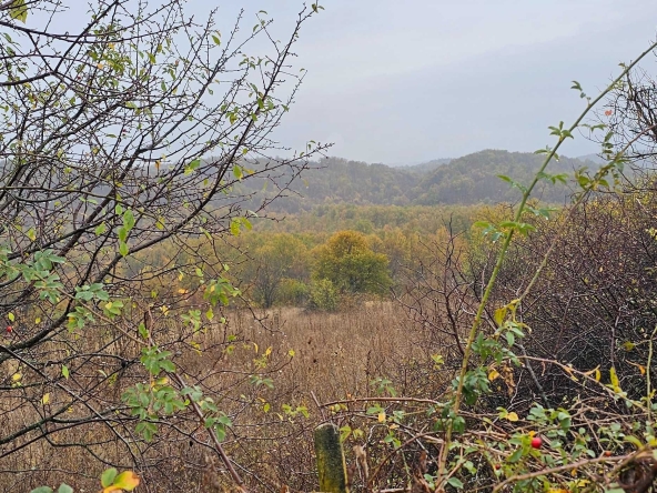 Парцел в с. Равново, Област Велико Търново - 1070 кв.м за 6 €/кв.м - Снимка #1