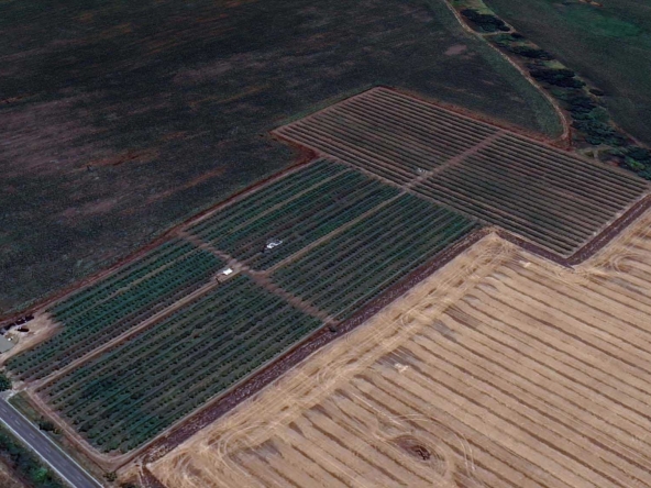 Земеделски имот в с. Братово, Област Бургас -  кв.м за 9211 €/дка - Снимка #1