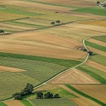 Земеделски имот в с. Преселенци, Област Добрич -  кв.м за 832 €/дка - Снимка #1