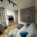 Дава се под наем Двустаен апартамент в София, Кръстова вада - 70 кв.м за 747.66 € - Снимка #1