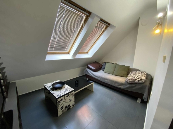 Дава се под наем Двустаен апартамент в София, Дървеница - 50 кв.м за 497.25 € - Снимка #1