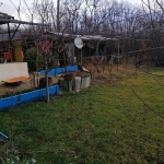 Къща в Търговище, Бряг - 40 кв.м за 447 €/кв.м - Снимка #1