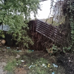 Парцел в с. Изгрев, Област Варна - 300 кв.м за 186 €/кв.м - Снимка #1