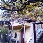 Къща в Благоевград, Ален мак - 60 кв.м за 170 €/кв.м - Снимка #1