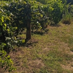 Парцел в Добрич, м-т Газибаба - 600 кв.м за 7 €/кв.м - Снимка #1