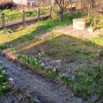 Къща в с. Неговановци, Област Видин - 114 кв.м за 229 €/кв.м - Снимка #1