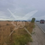 Парцел в с. Челопечене, Област Добрич - 4212 кв.м за 41 €/кв.м - Снимка #1