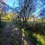 Парцел в Карлово - 1500 кв.м за 9 €/кв.м - Снимка #1