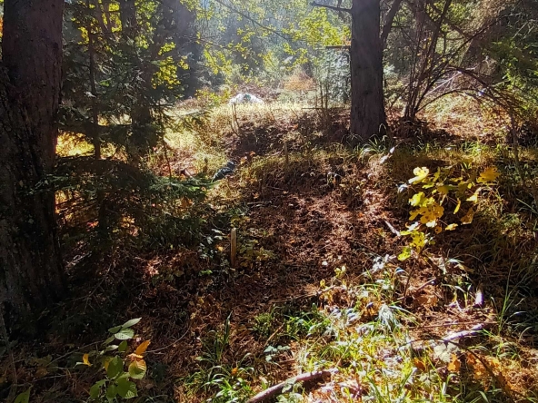 Земеделски имот в Банско -  кв.м за 40800 €/дка - Снимка #1