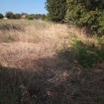 Парцел в Димитровград - 1210 кв.м за 4 €/кв.м - Снимка #1