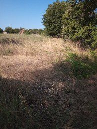 Парцел в Димитровград - 1210 кв.м за 4 €/кв.м - Снимка #1