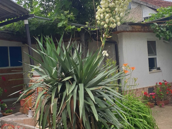 Къща в Силистра, в.з. Юг - 130 кв.м за 447 €/кв.м - Снимка #1