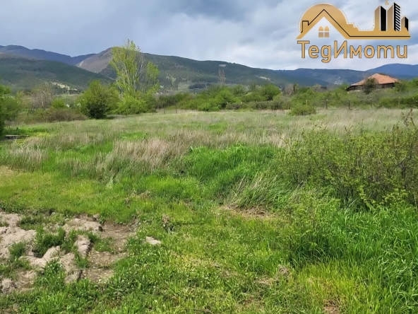 Парцел в с. Конаре, Област Стара Загора - 2000 кв.м за 4 €/кв.м - Снимка #1