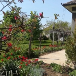 Къща в с. Попинци, Област Пазарджик - 120 кв.м за 542 €/кв.м - Снимка #1