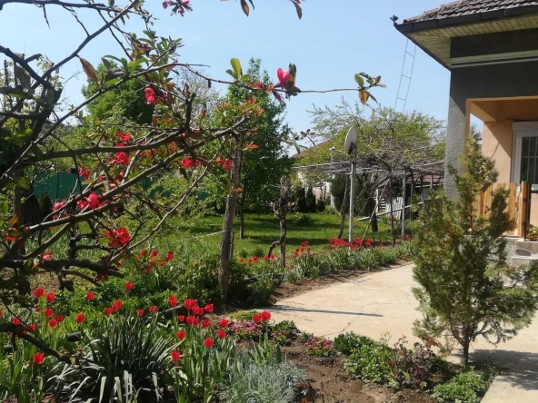 Къща в с. Попинци, Област Пазарджик - 120 кв.м за 542 €/кв.м - Снимка #1