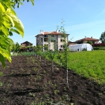 Къща в с. Миладиновци, Област Ямбол - 475 кв.м за 232 €/кв.м - Снимка #1