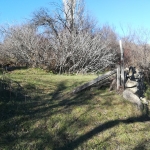 Парцел в с. Мътеница, Област Пловдив - 660 кв.м за 116 €/кв.м - Снимка #1