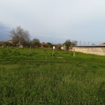 Дава се под наем Парцел в с. Калояново, Област Пловдив - 1000 кв.м за 102 € - Снимка #1