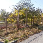 Парцел в Велики Преслав - 1100 кв.м за 33 €/кв.м - Снимка #1