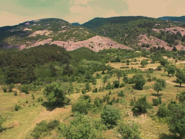 Парцел в Карлово - 20500 кв.м за 17 €/кв.м - Снимка #1