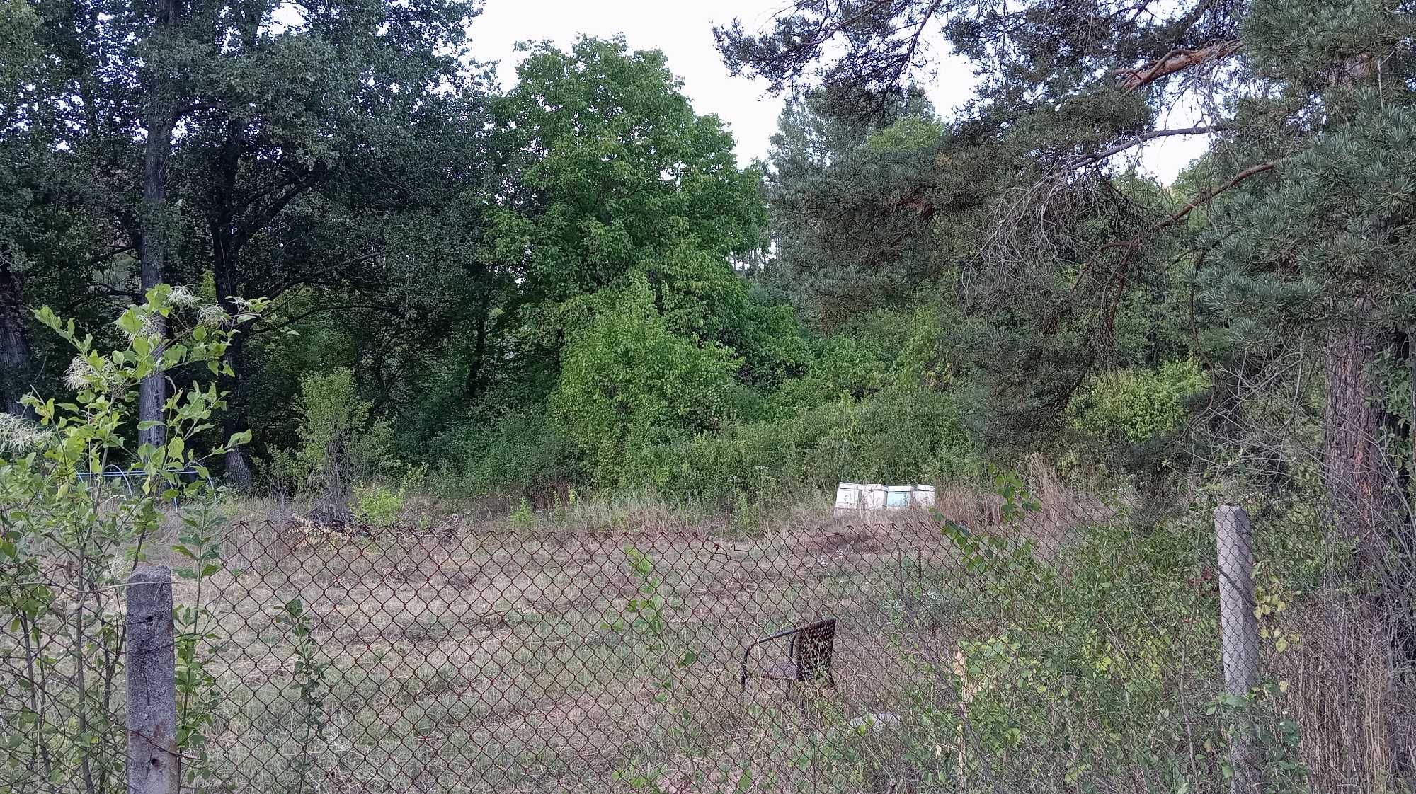 Парцел в с. Луково, Област София-област - 1020 кв.м за 40 €/кв.м - Снимка #1