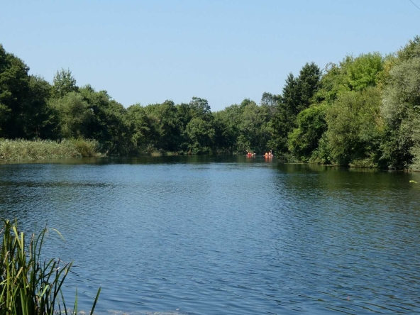 Парцел в с. Синеморец, Област Бургас - 3981 кв.м за 60 €/кв.м - Снимка #1