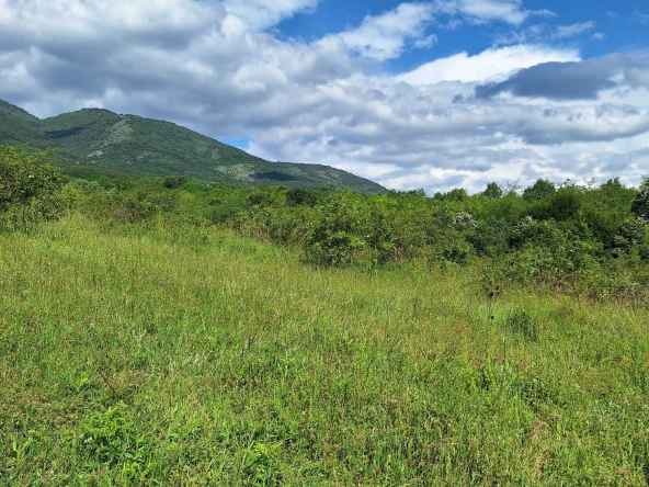 Парцел в с. Горнослав, Област Пловдив - 1900 кв.м за 2 €/кв.м - Снимка #1