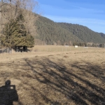 Парцел в с. Говедарци, Област София-област - 2972 кв.м за 41 €/кв.м - Снимка #1