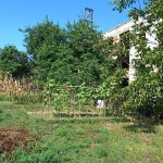 Парцел в Бяла - 676 кв.м за 74 €/кв.м - Снимка #1