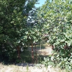 Парцел в с. Енина, Област Стара Загора - 605 кв.м за 59 €/кв.м - Снимка #1